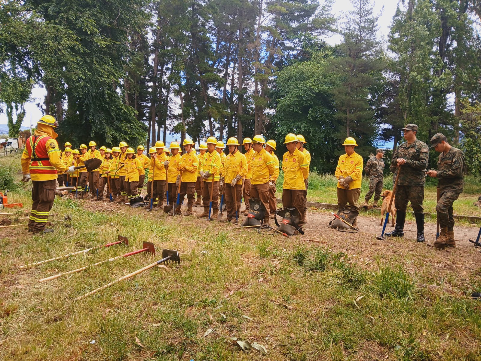 Curso